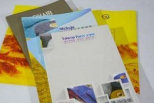 東莞樣板冊(cè)/畫冊(cè)/色卡